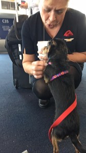 33505957_10216354382755708_4053188803630727168_n